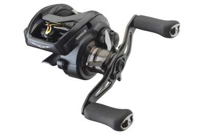 Daiwa STEEZ A II TW