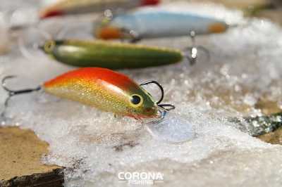 woblery trociowe