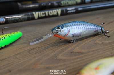 woblery na jesienne sandacze