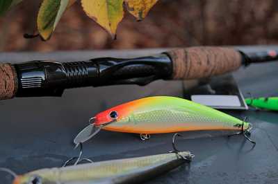 hms sakana płytko schodząca