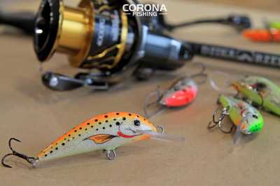 woblery trociowe pracowania roztocze