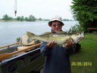Janusz