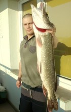 Radek
