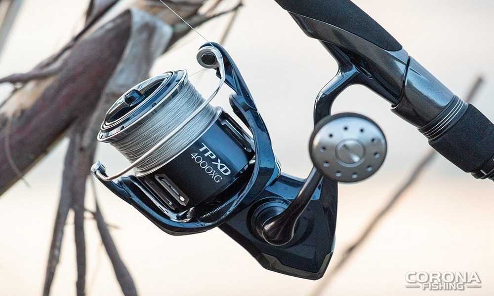 Jak wybrać kołowrotek?