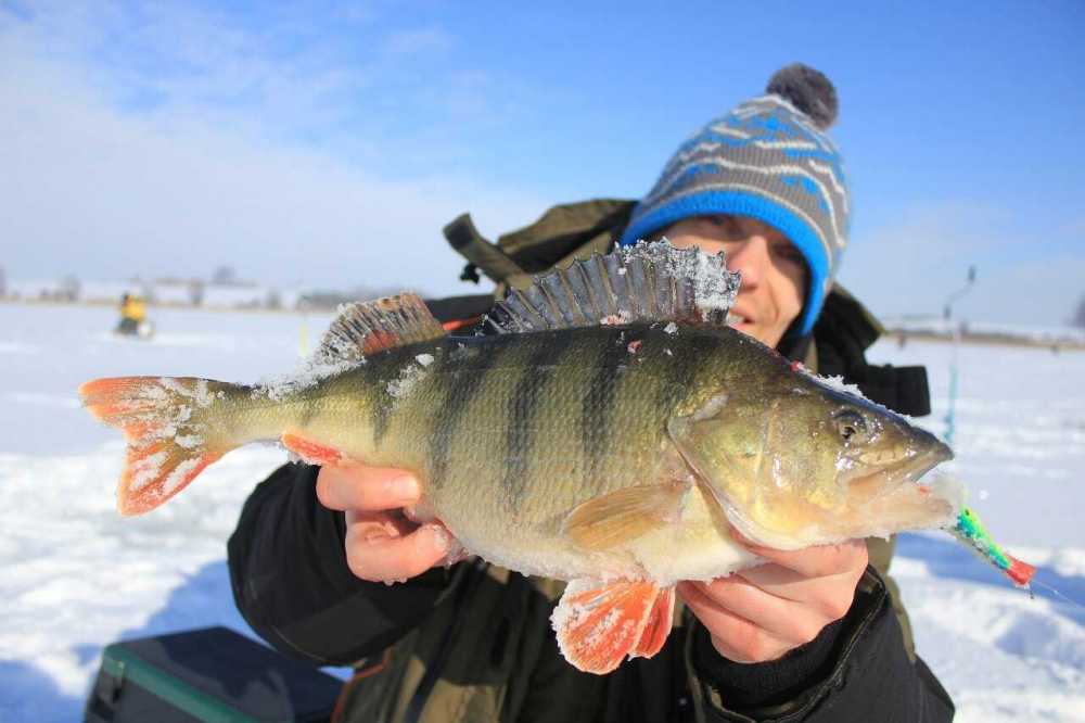 Ubrania dla wędkarzy – jaki kombinezon na ryby wybrać?