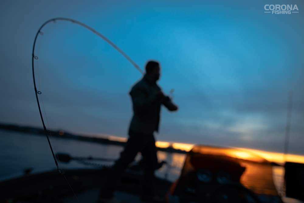 Ranking wędek spinningowych – która jest najlepsza?