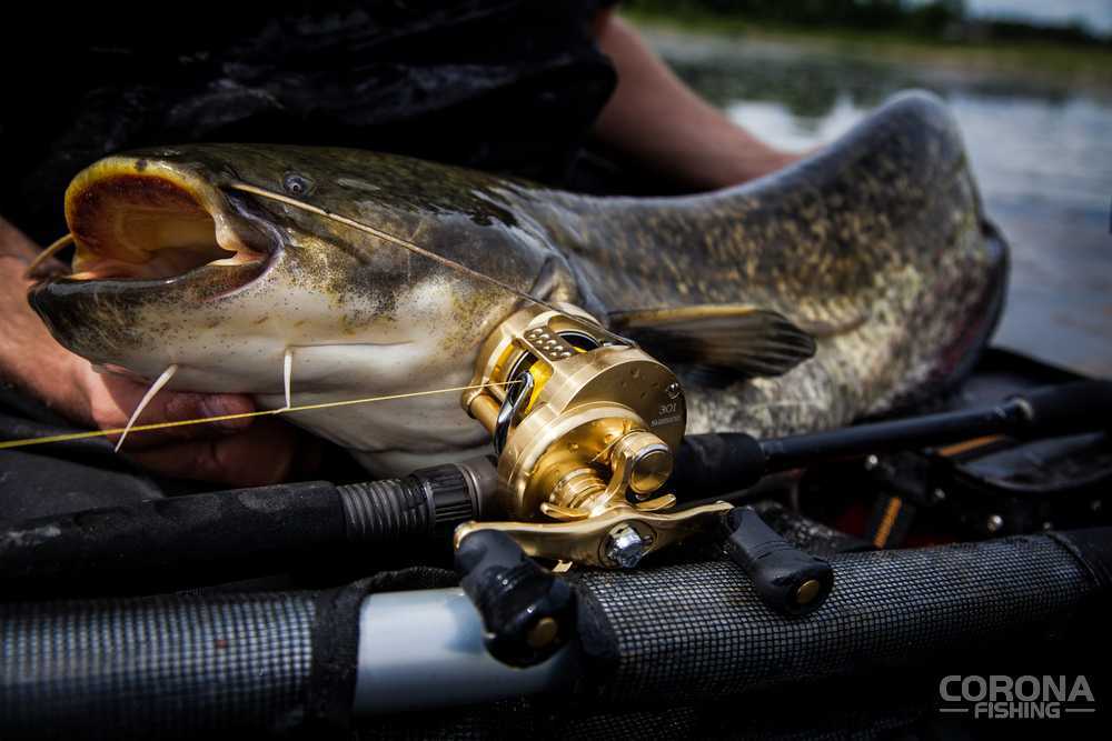 Wędka castingowa – wędka do multiplikatora