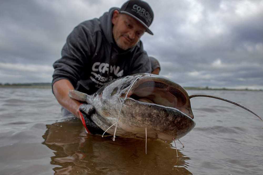 Najlepsza wędka sumowa, czyli jaka?