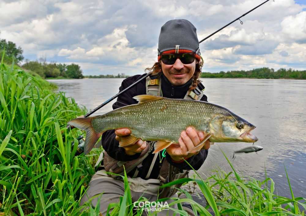 zestaw spinningowy na bolenia